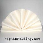 NapkinFoldingGuide.com